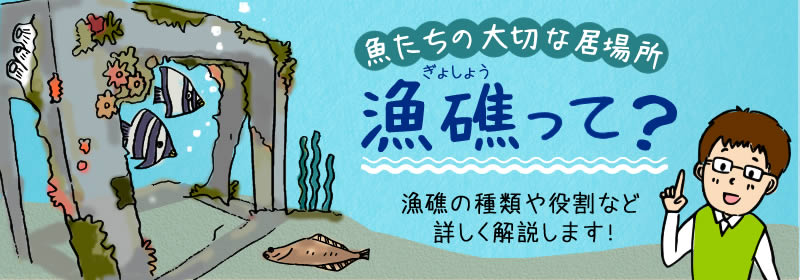 魚が集まる「魚礁」を徹底解説！種類、機能、設置方法など