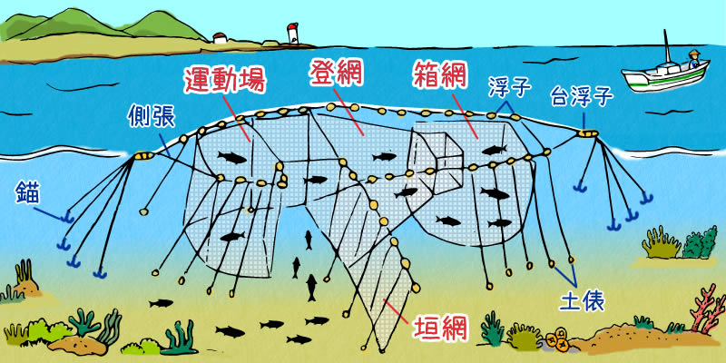 定置網で魚を獲る仕組み