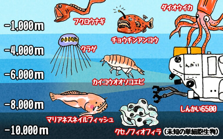 マリアナ海溝とは 世界一深い海溝の場所と成り立ち