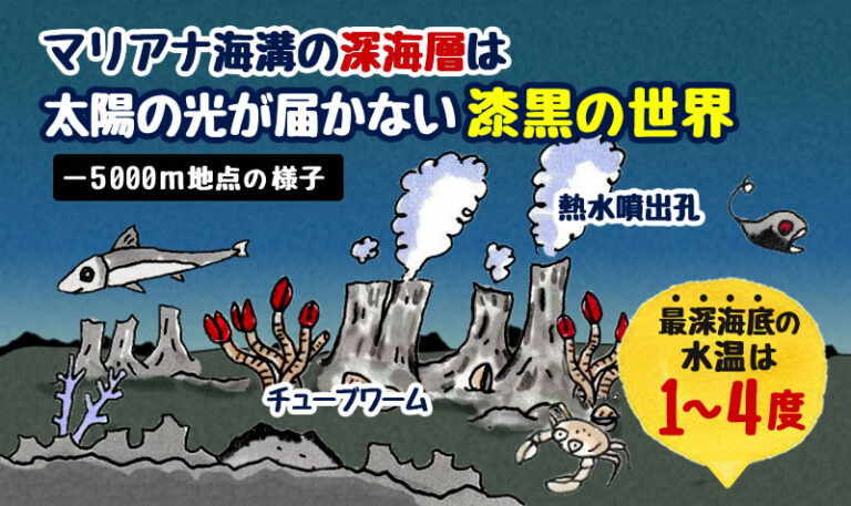 マリアナ海溝とは 世界一深い海溝の場所と成り立ち