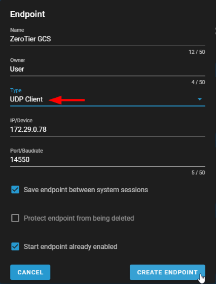 BlueOS の MAVLink Endpoint 作成画面で Type を UDP Client にし IP に Managed IP を入力