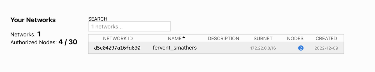 ZeroTier のネットワーク一覧に16桁の Network ID とランダムな名前が表示されている