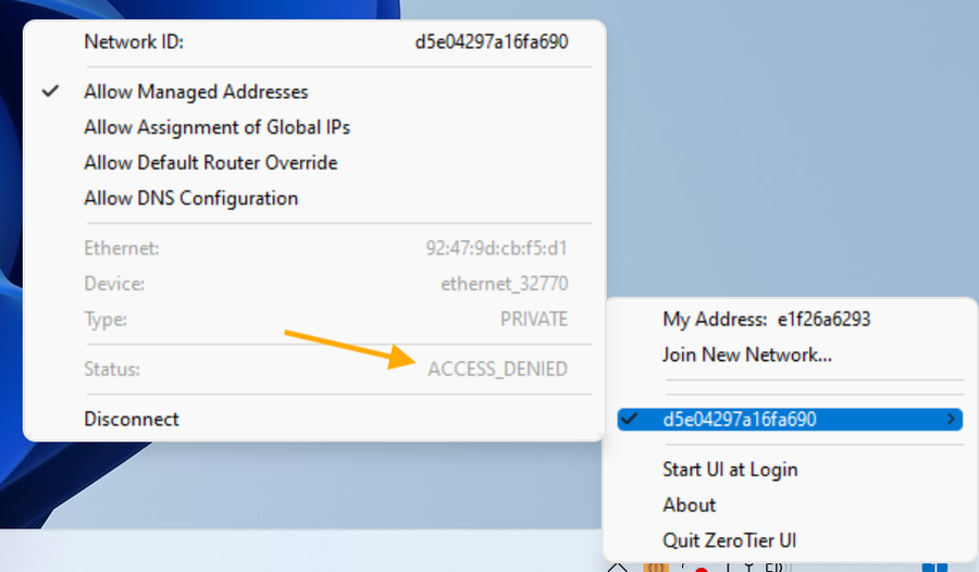 ZeroTier 参加直後の Status が ACCESS_DENIED になっている画面