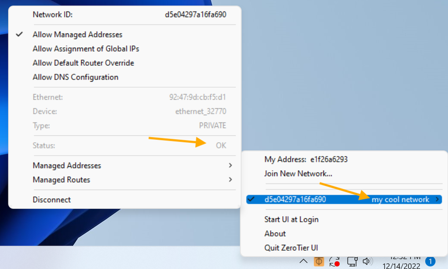 承認後に Windows の ZeroTier の Status が OK に変わりネットワーク名が表示された画面